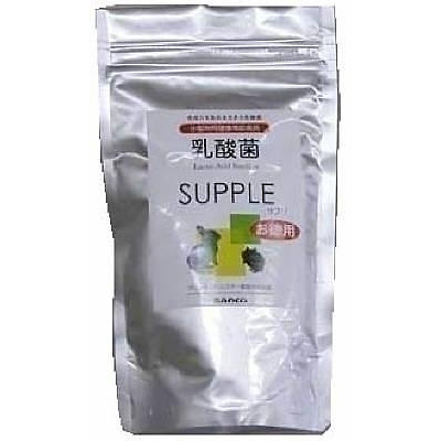 三晃商会乳酸菌　お徳用100g【モルモット・チンチラ・デグー おやつ サプリ】