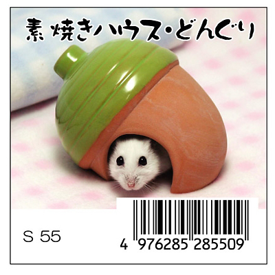 三晃商会 素焼きハウス　どんぐり 【ハムスター ハウス・ステップ】