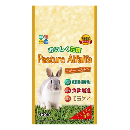 ハイペット 新パスチャーアルファルファ　400g 【小動物・鳥,うさぎ、モルモット、デグー、チンチラ,牧草】
